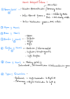 Heart External Features.pdf